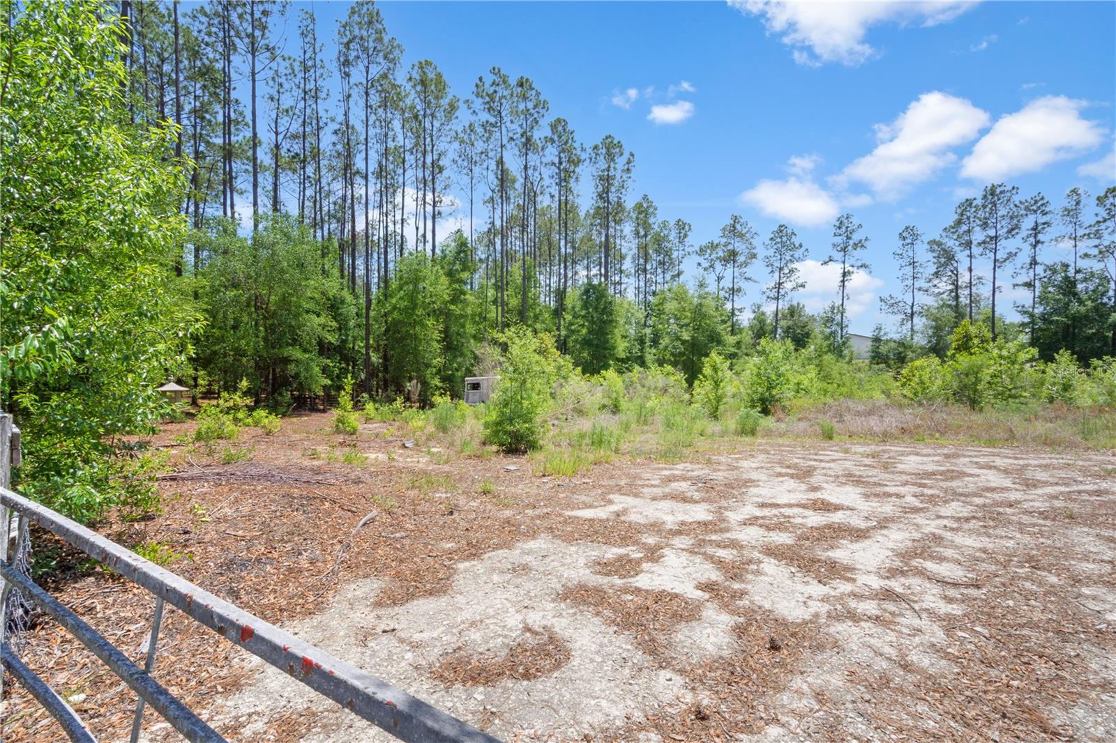 17950 SE 60TH LN, MORRISTON, FL, 32668