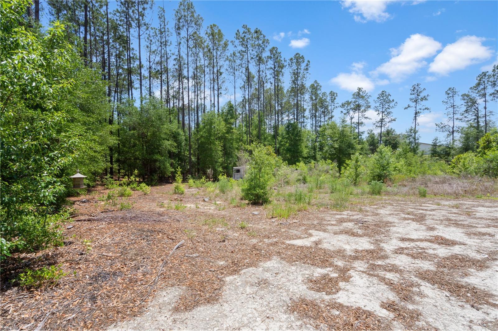 17950 SE 60TH LN, MORRISTON, FL, 32668