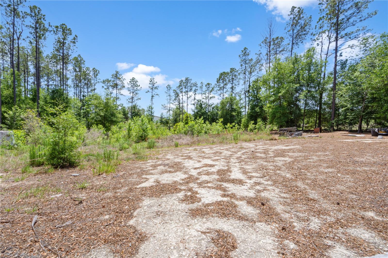 17950 SE 60TH LN, MORRISTON, FL, 32668
