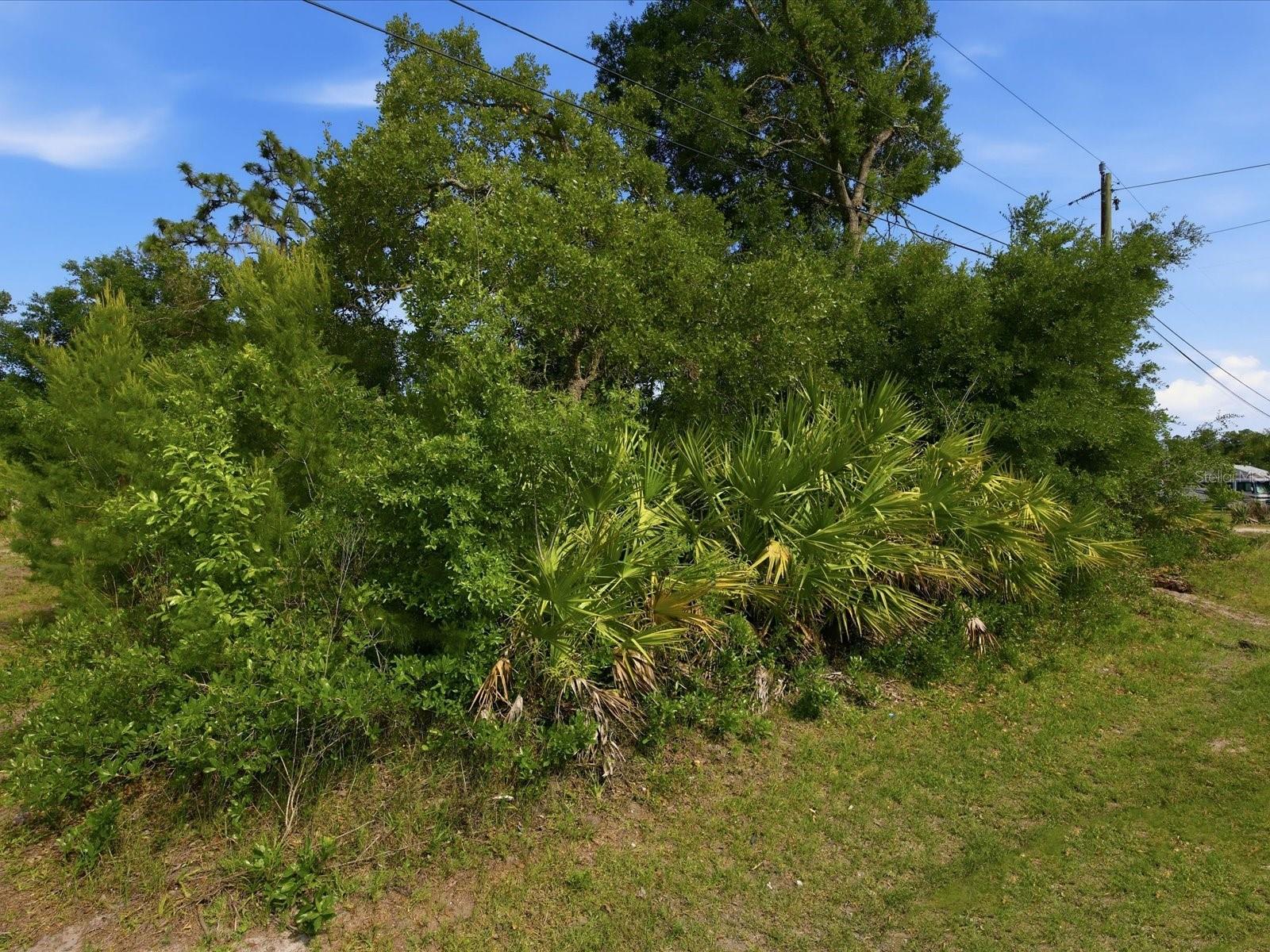 1001 10TH AVE, DELAND, FL, 32724