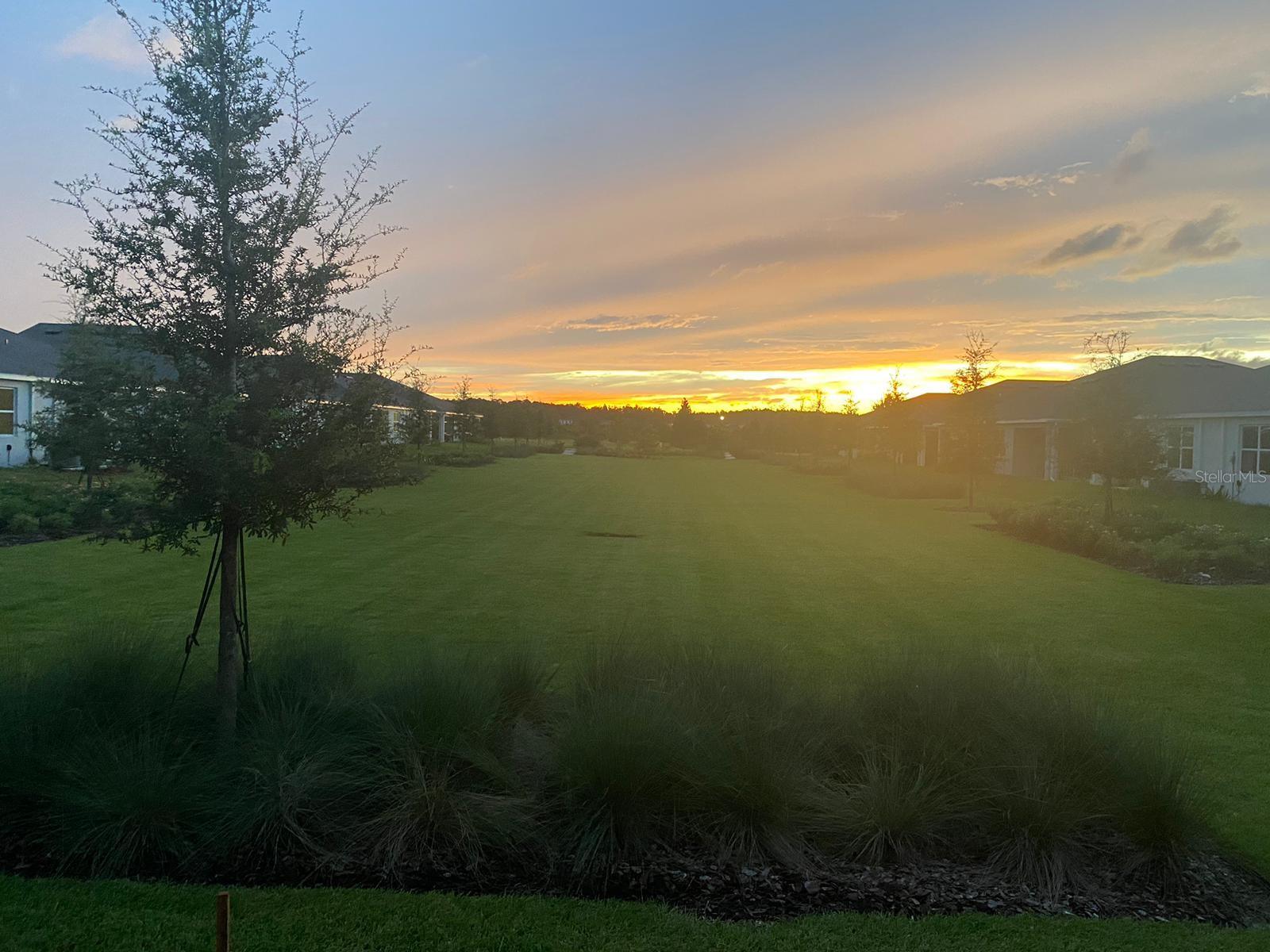 2477 BENDING BONSAI DR, WESLEY CHAPEL, FL, 33543