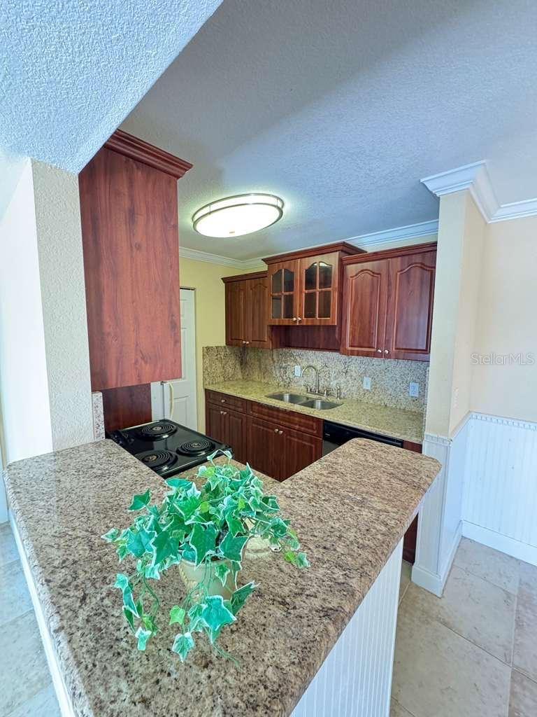 455 ALT 19 S #12, PALM HARBOR, FL, 34683