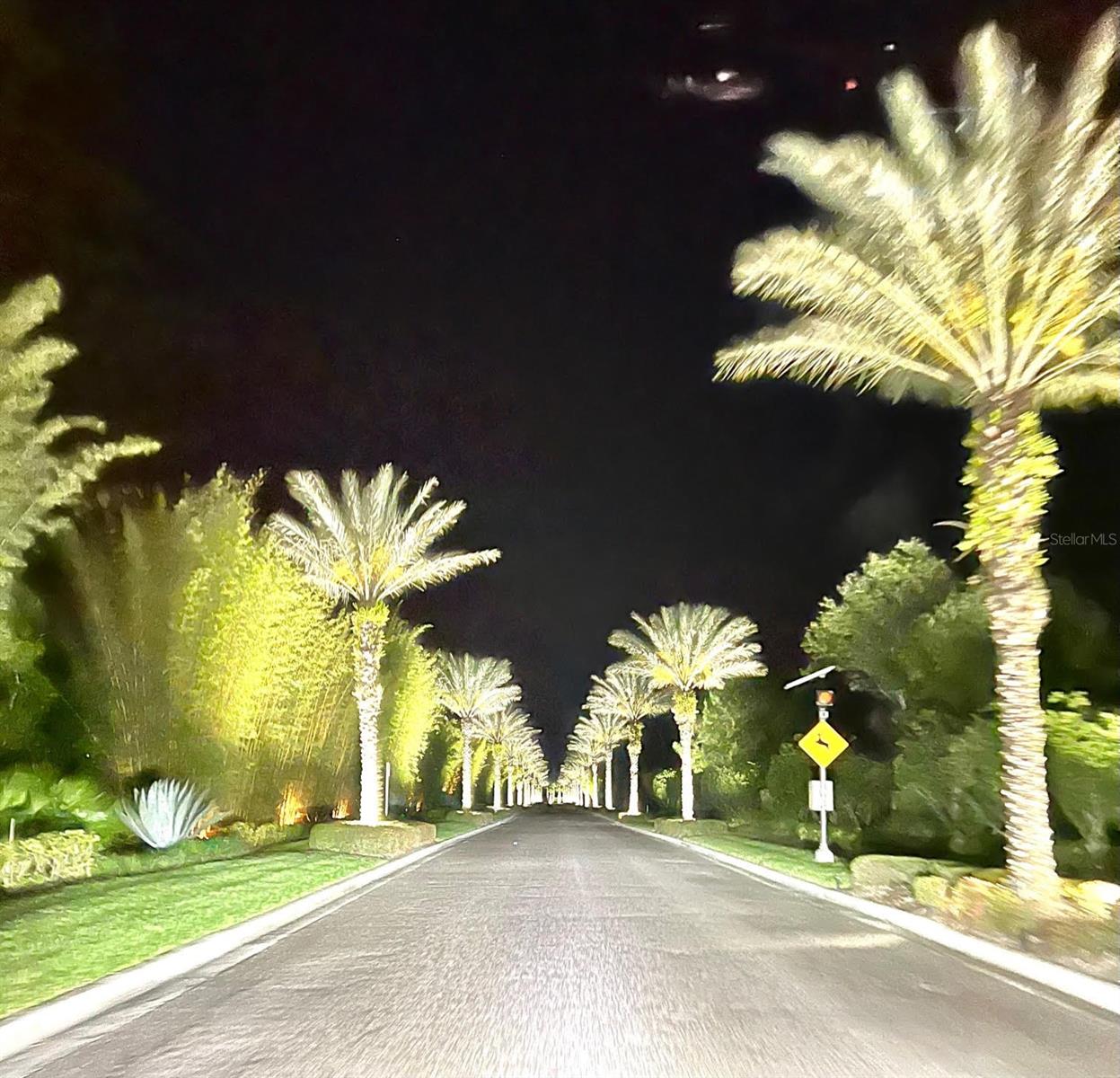 14501 GROVE RESORT AVE #2214, WINTER GARDEN, FL, 34787