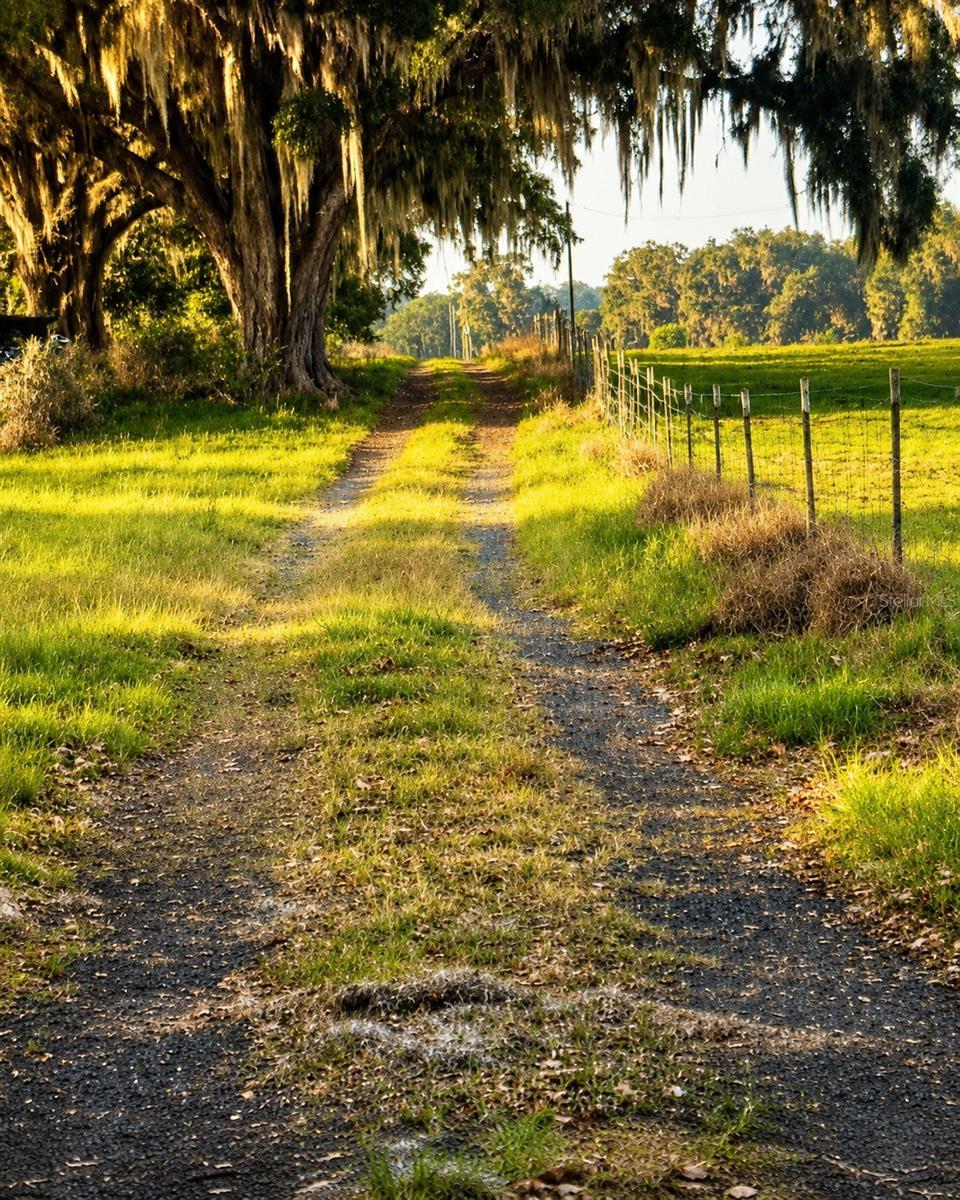 MONDON HILL RD, BROOKSVILLE, FL, 34601