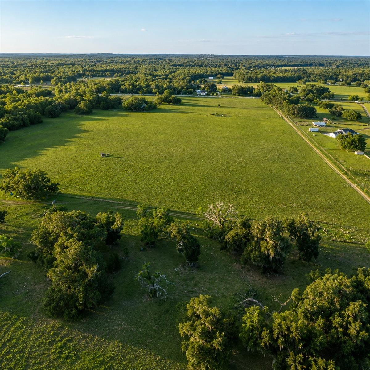 MONDON HILL RD, BROOKSVILLE, FL, 34601