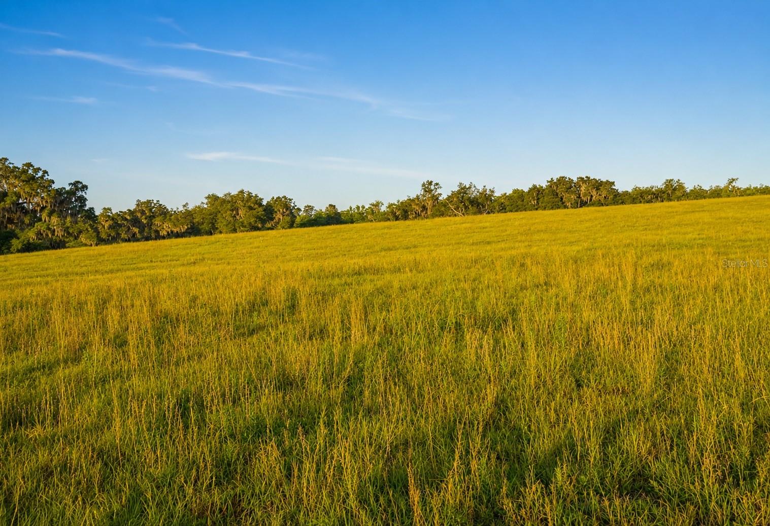 MONDON HILL RD, BROOKSVILLE, FL, 34601