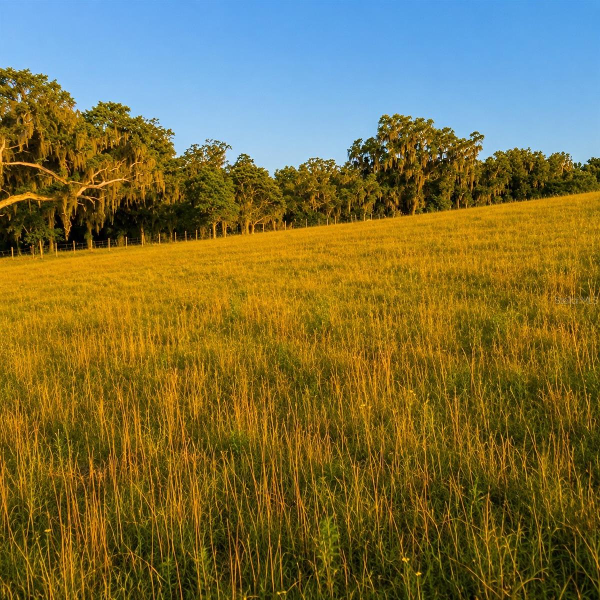 MONDON HILL RD, BROOKSVILLE, FL, 34601