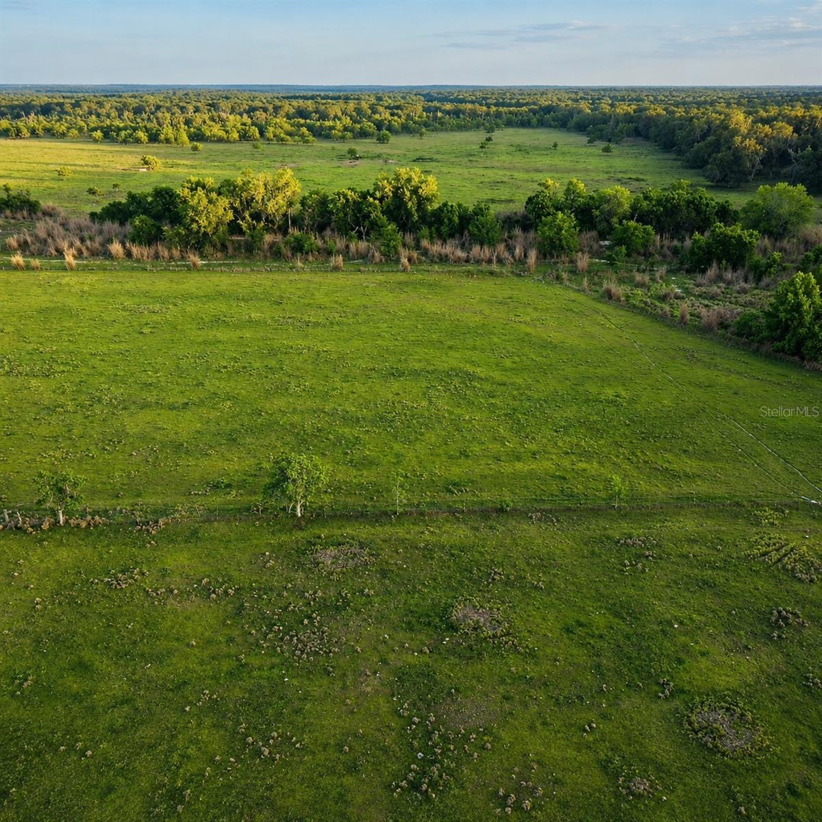 MONDON HILL RD, BROOKSVILLE, FL, 34601