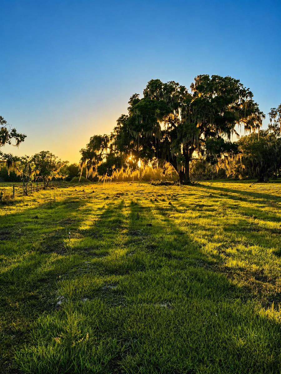 MONDON HILL RD, BROOKSVILLE, FL, 34601