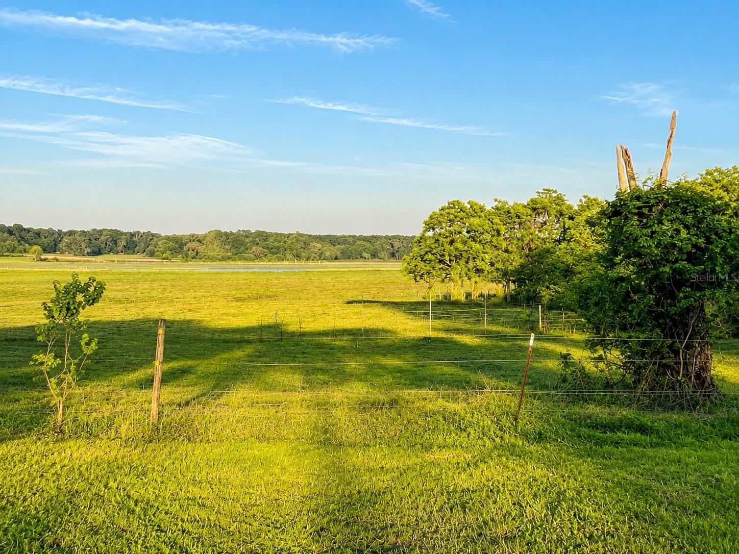 MONDON HILL RD, BROOKSVILLE, FL, 34601