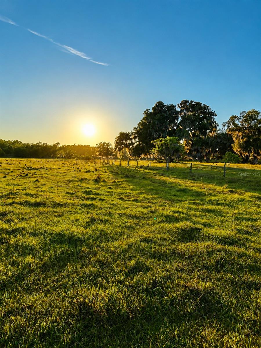 MONDON HILL RD, BROOKSVILLE, FL, 34601