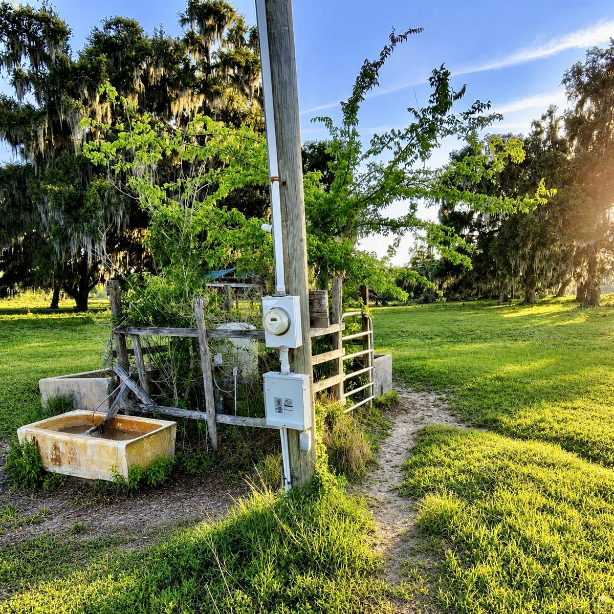 MONDON HILL RD, BROOKSVILLE, FL, 34601