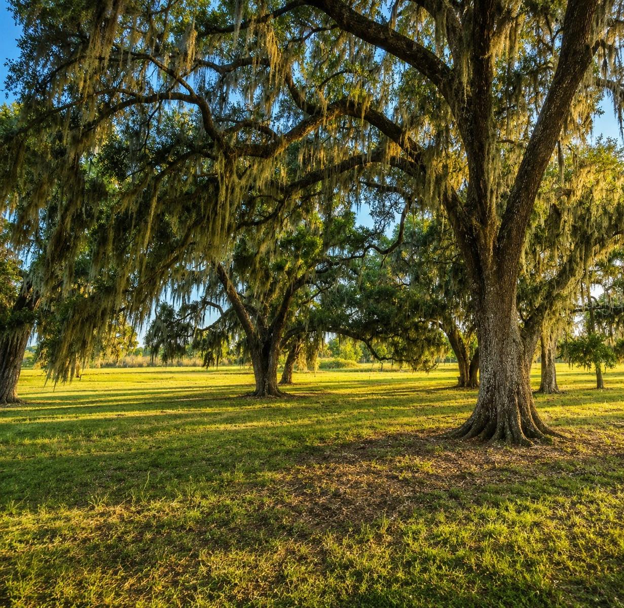 MONDON HILL RD, BROOKSVILLE, FL, 34601