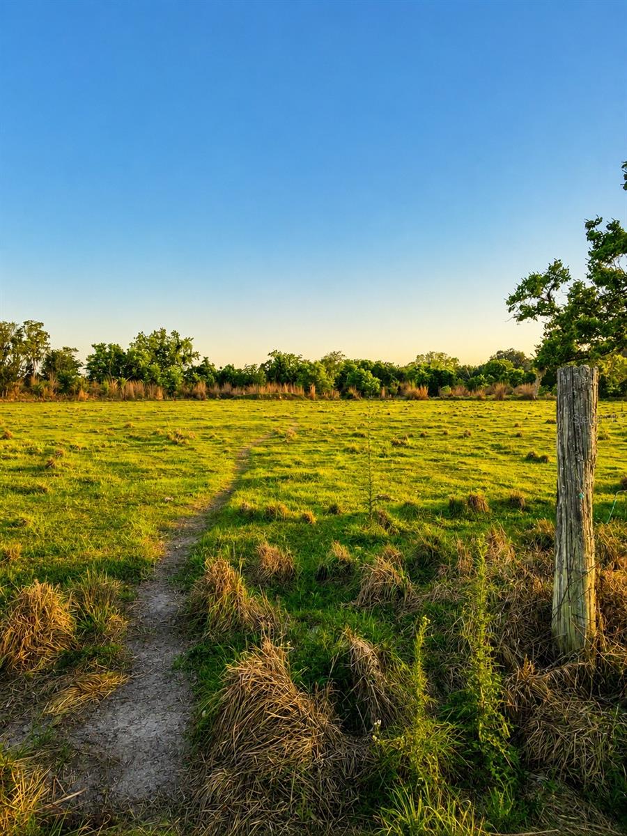 MONDON HILL RD, BROOKSVILLE, FL, 34601