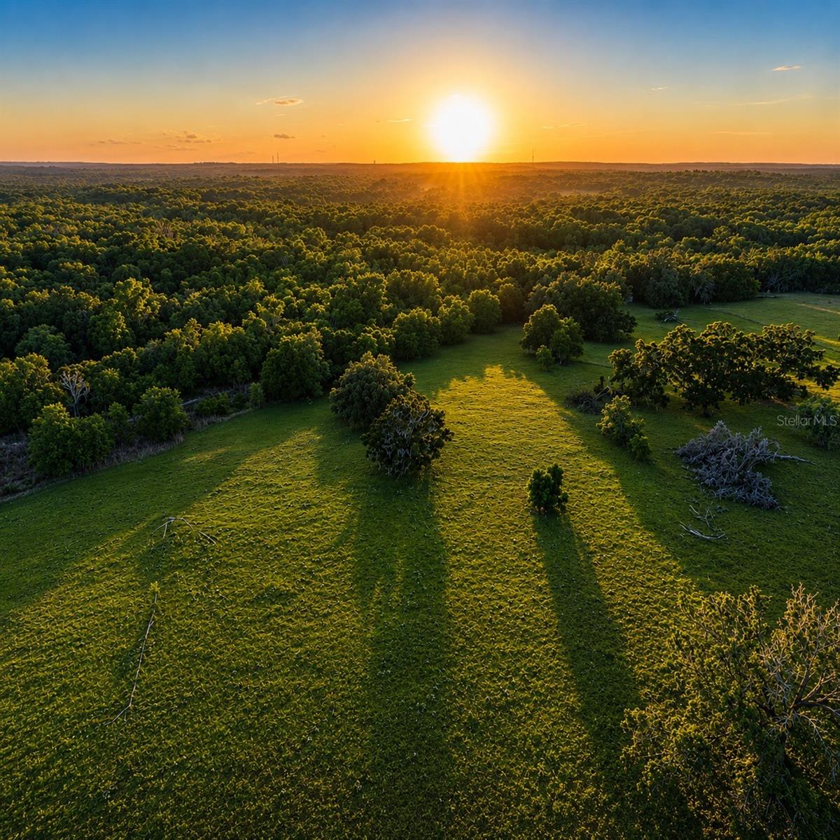 MONDON HILL RD, BROOKSVILLE, FL, 34601