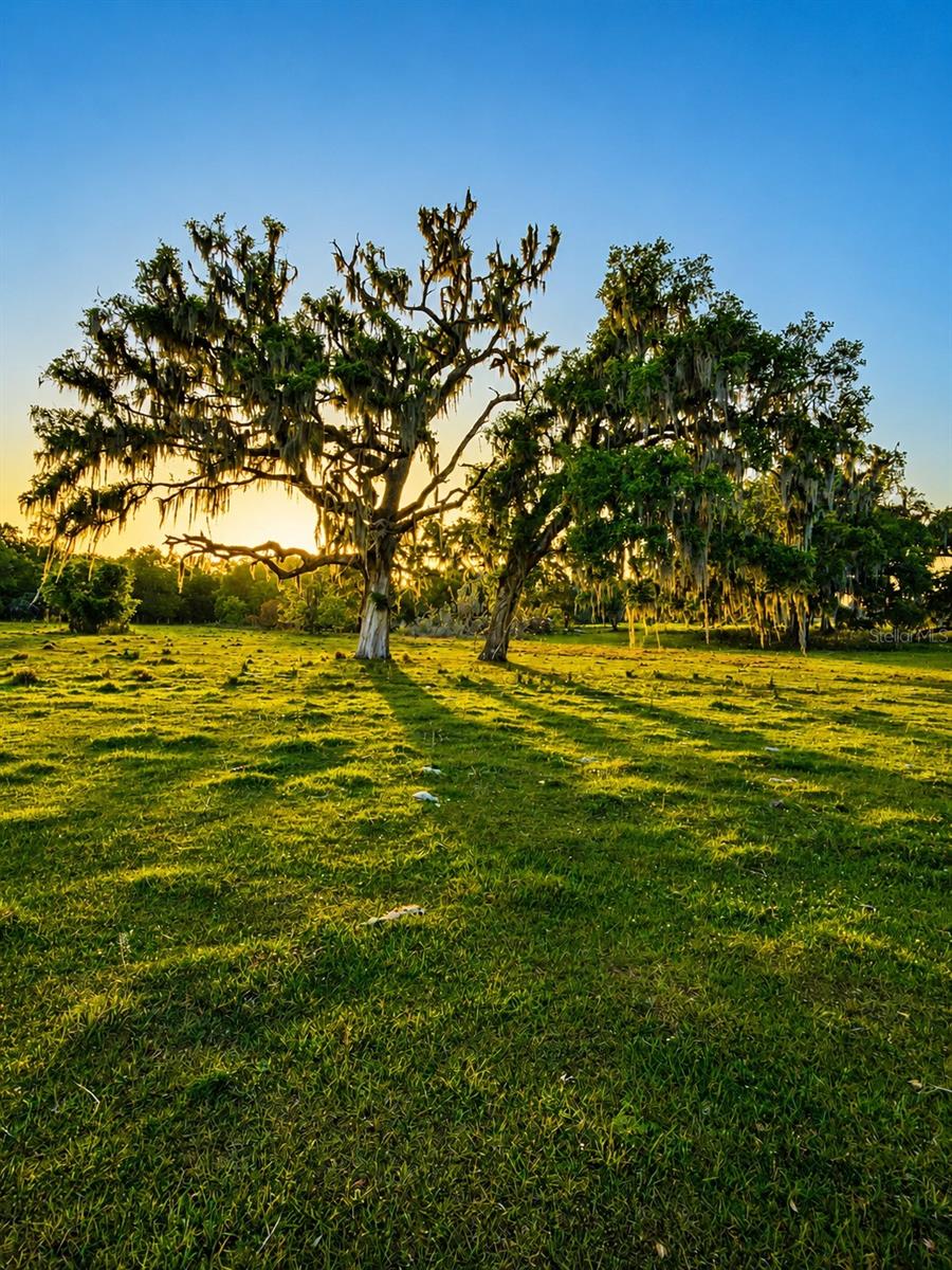 MONDON HILL RD, BROOKSVILLE, FL, 34601