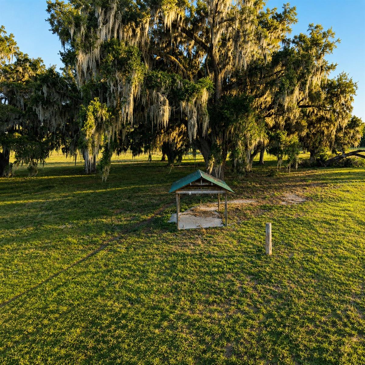 MONDON HILL RD, BROOKSVILLE, FL, 34601