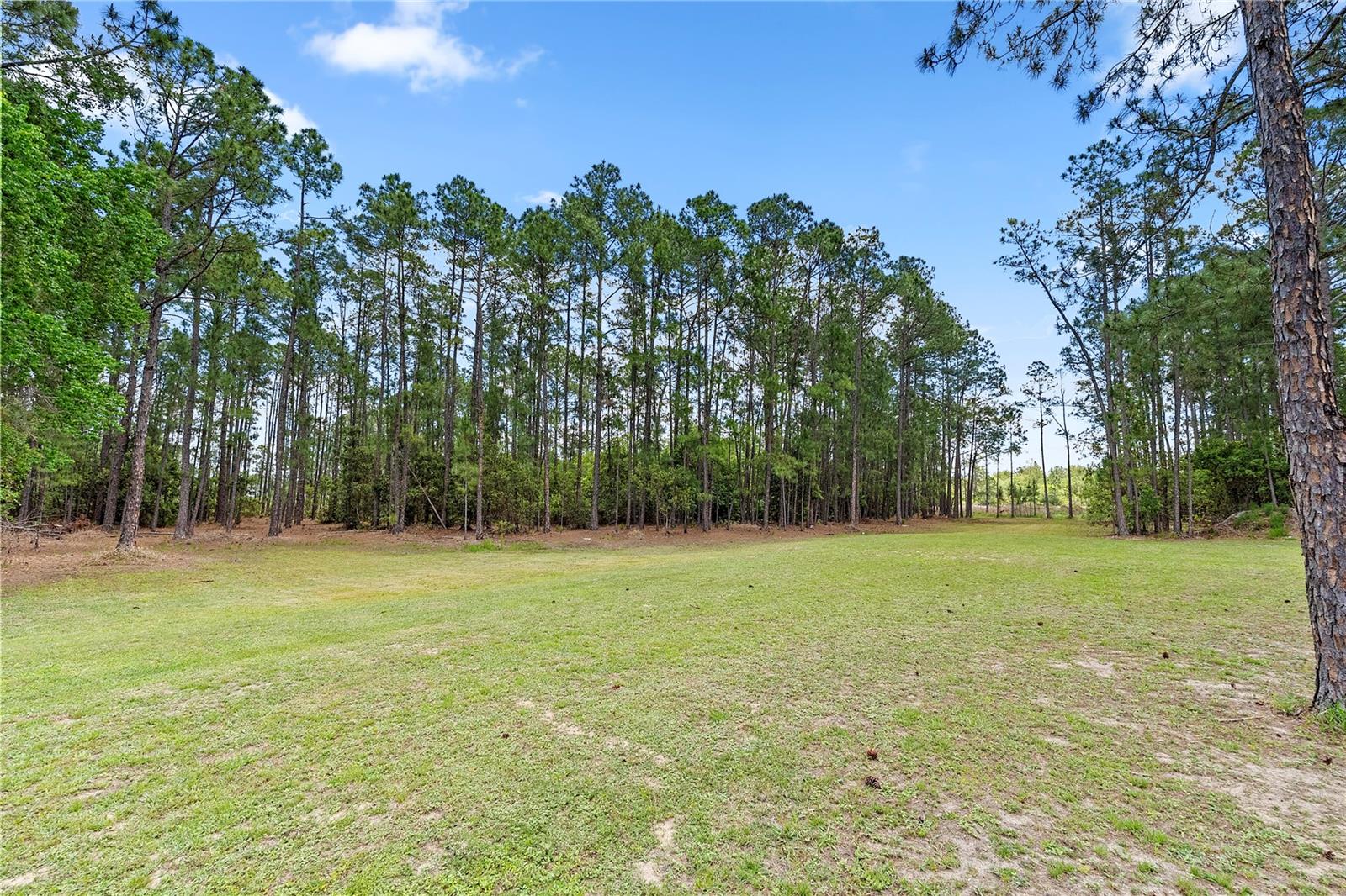 39600 GREENBRIER ST, EUSTIS, FL, 32736