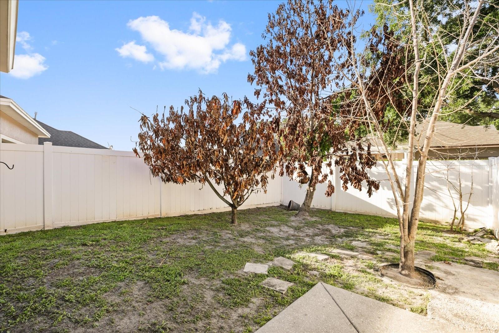 12533 CRAGSIDE LN, WINDERMERE, FL, 34786