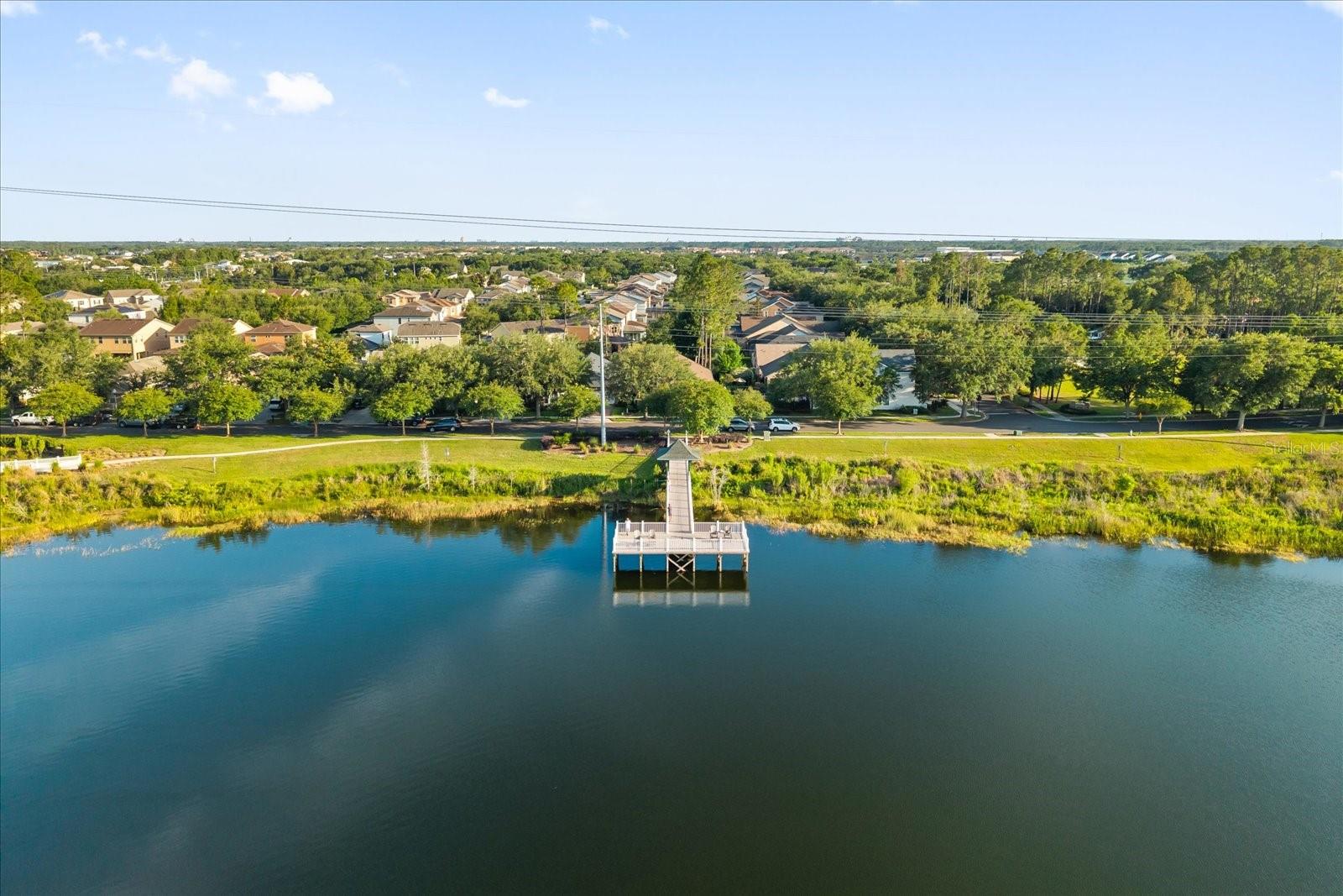 12533 CRAGSIDE LN, WINDERMERE, FL, 34786