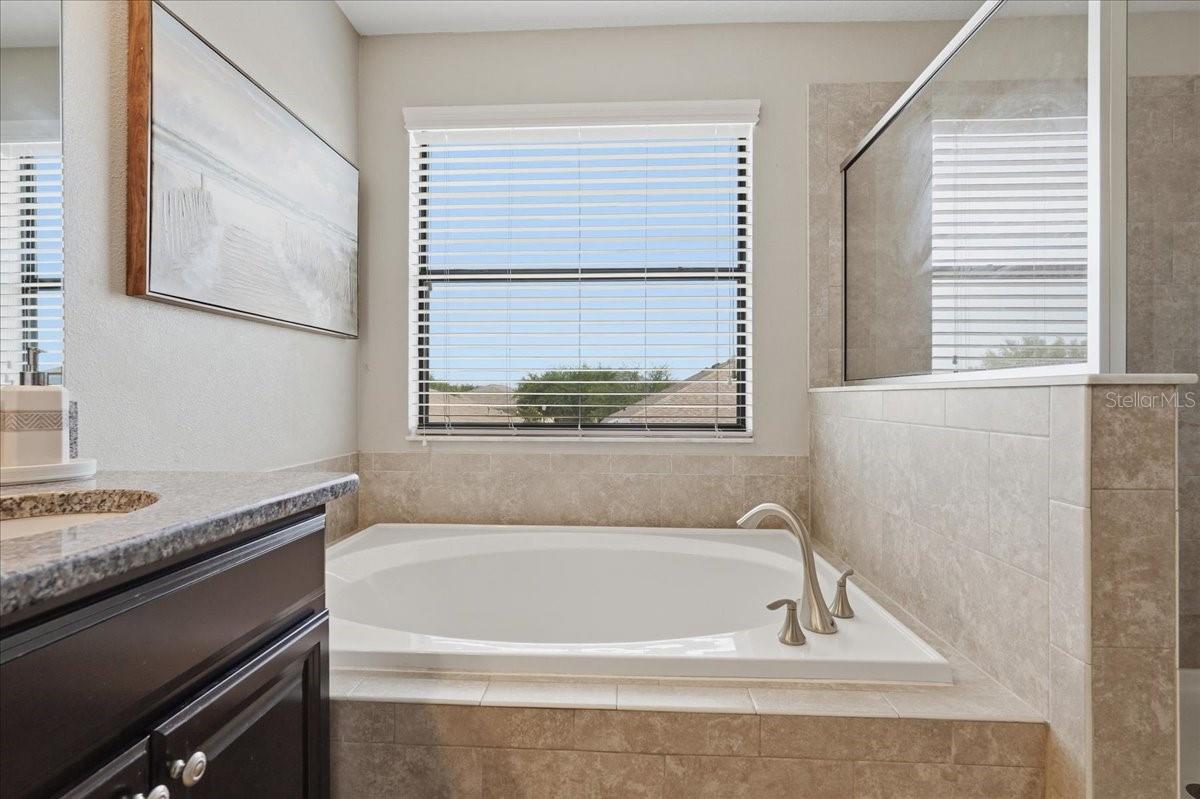 1020 OLIVETO VERDI CT, BRANDON, FL, 33511