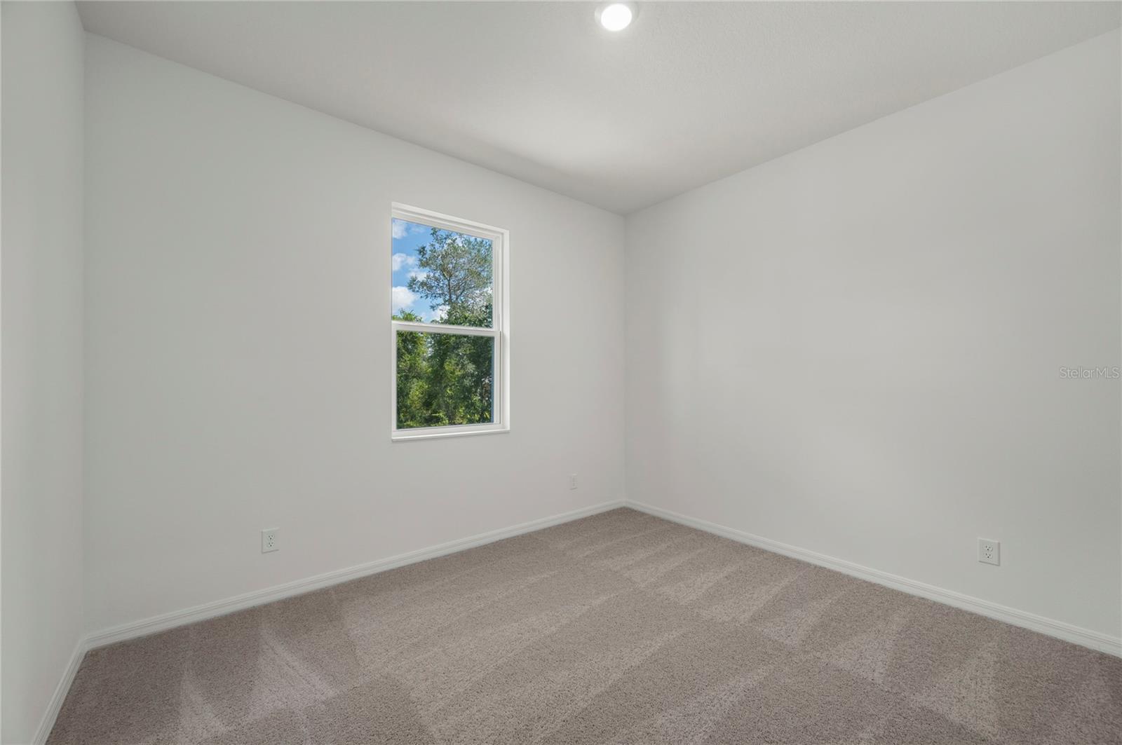 357 BREAM, POINCIANA, FL, 34759