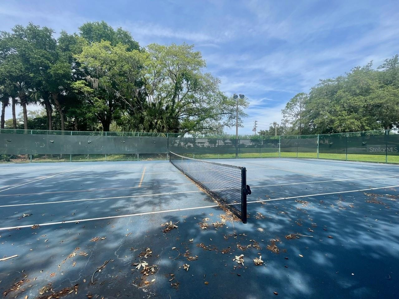 709 SECRET HARBOR LN #115, LAKE MARY, FL, 32746