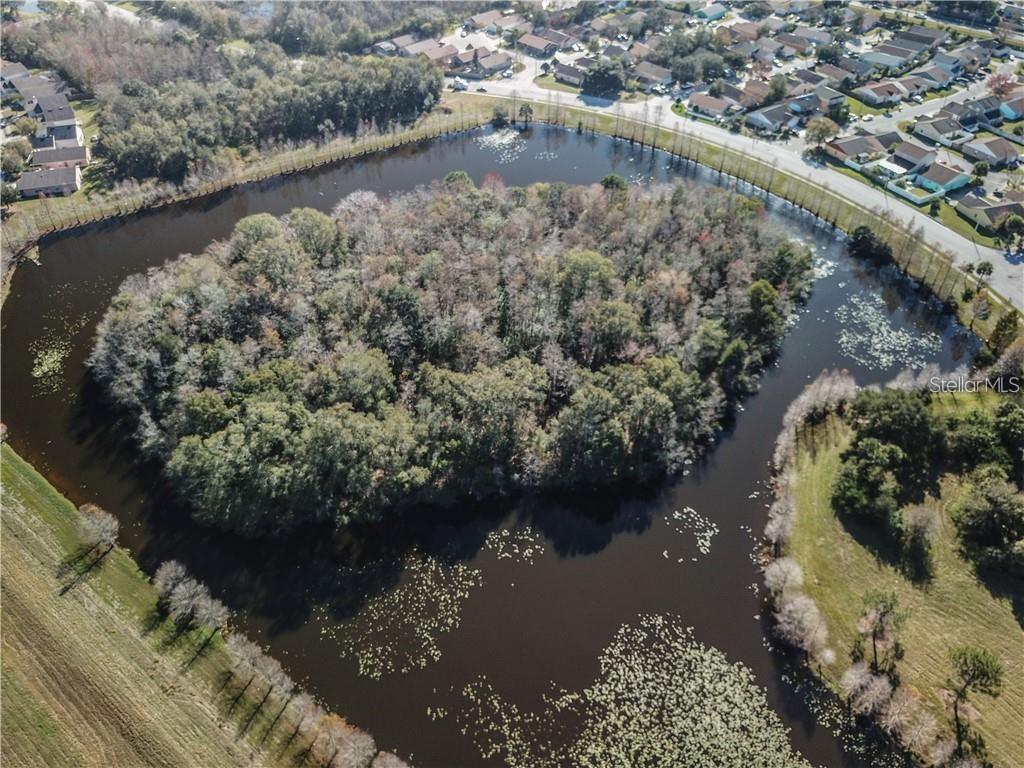 1003 WINTERBERRY LN, ORLANDO, FL, 32811