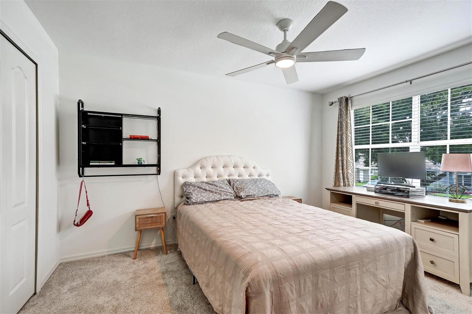 6011 WILLIAMSBURG WAY, TAMPA, FL, 33625