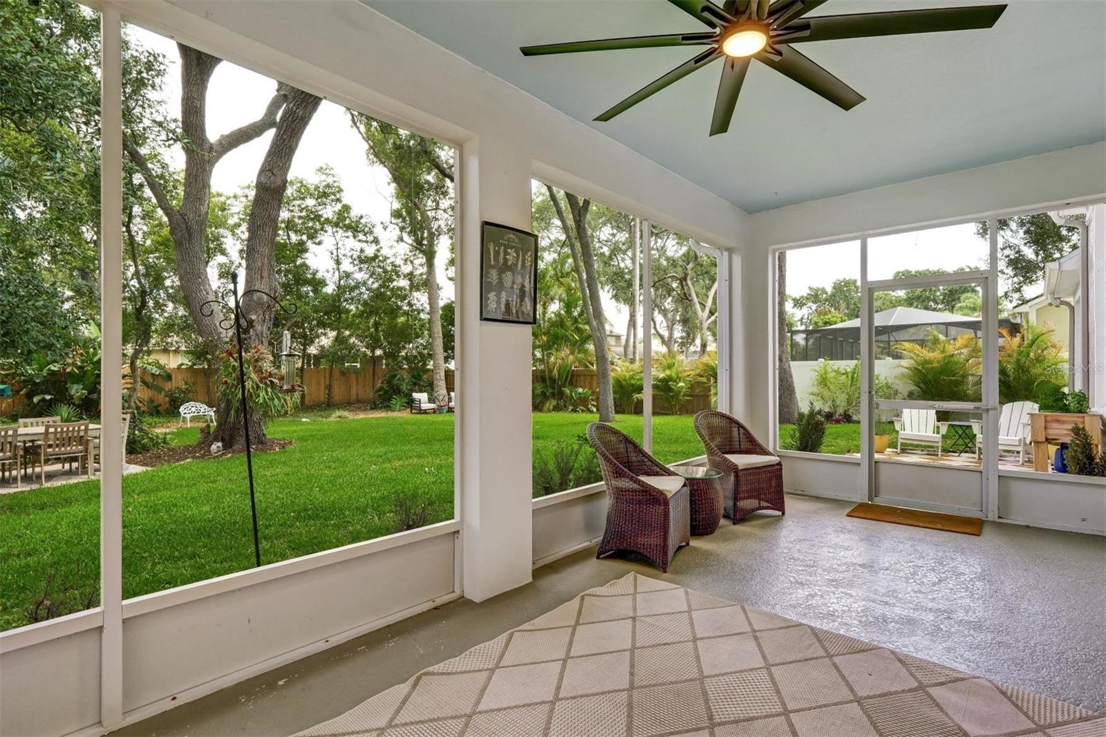 6011 WILLIAMSBURG WAY, TAMPA, FL, 33625