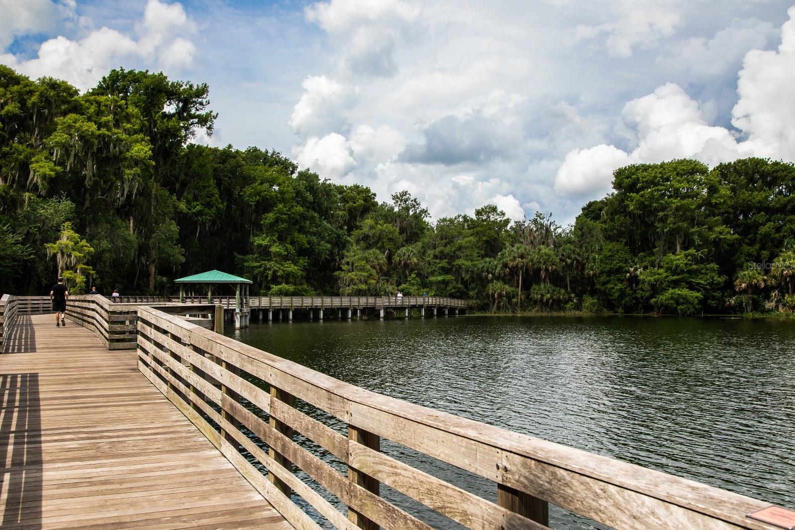 101 N GRANDVIEW ST #1, MOUNT DORA, FL, 32757