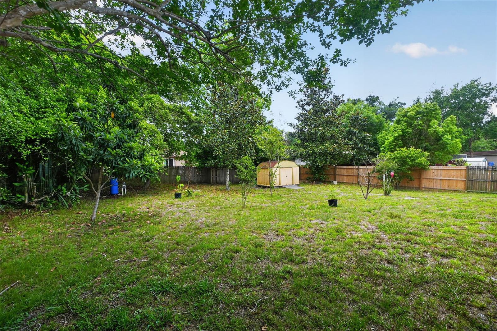 253 WILLIAMS AVE, ORANGE CITY, FL, 32763