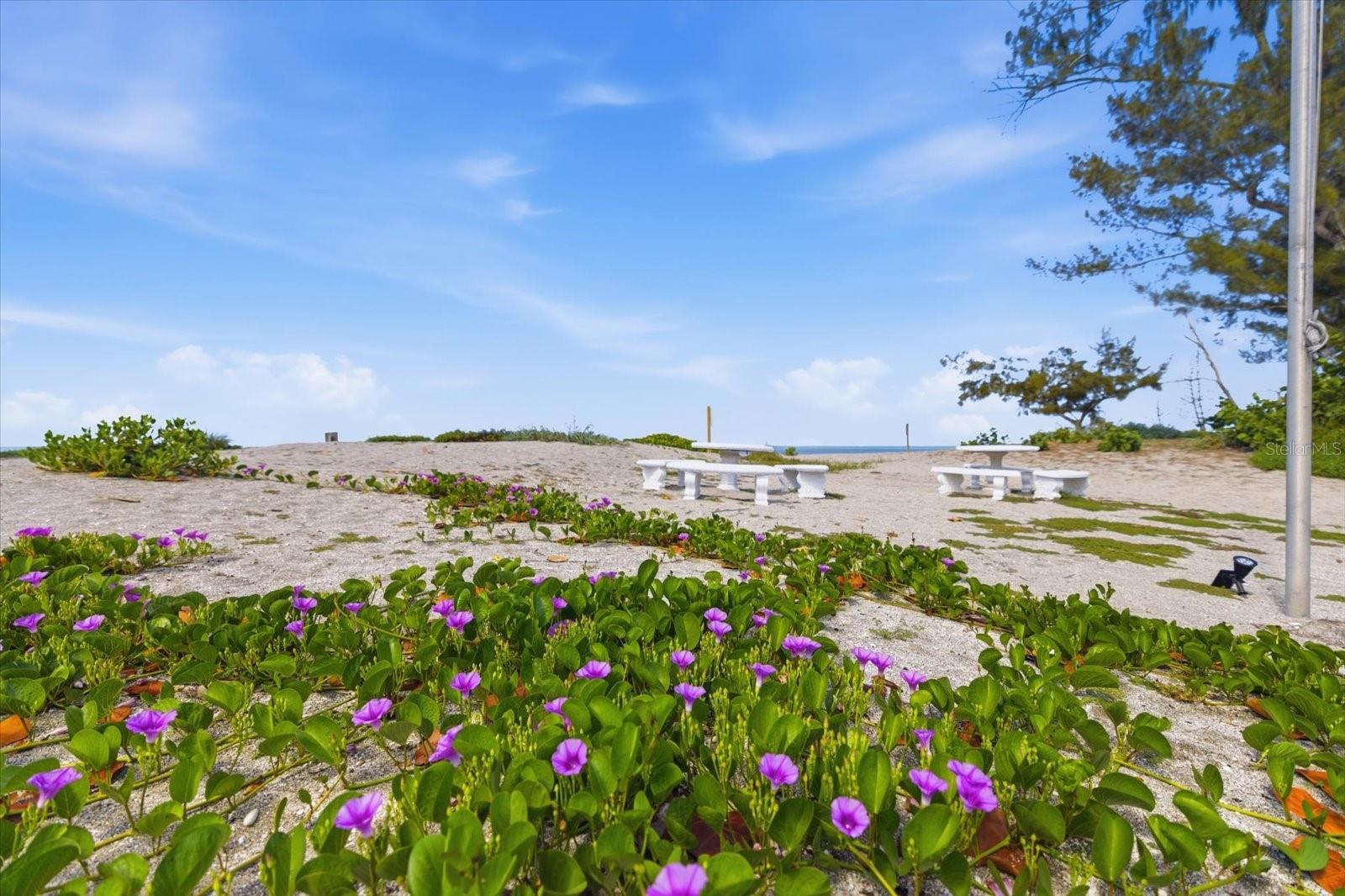 1585 TARPON CENTER DR #20, VENICE, FL, 34285