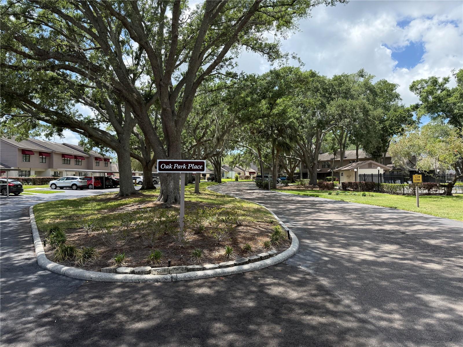 819 OAK PARK PL, BRANDON, FL, 33511