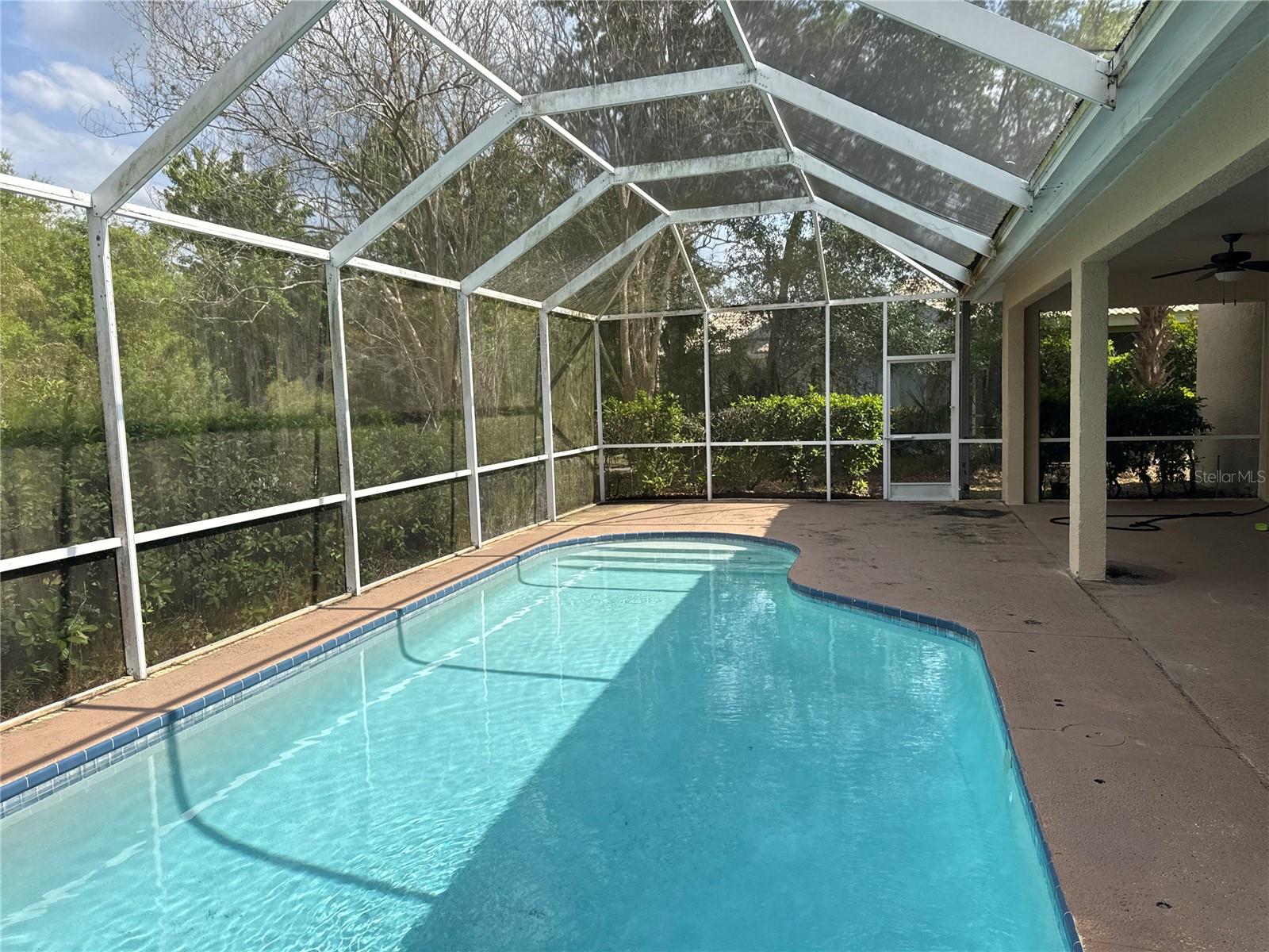 18013 FOREST RETREAT LN, TAMPA, FL, 33647
