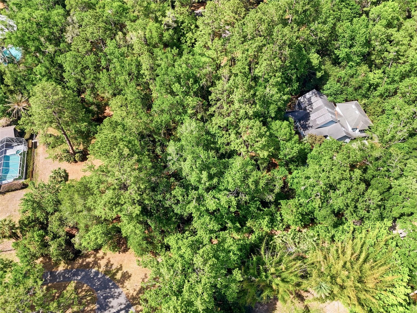0000 NW 45TH ST, GAINESVILLE, FL, 32607