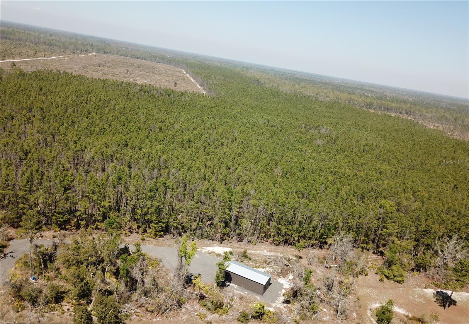 15000 FIDDLERS WAY, PERRY, FL, 32348