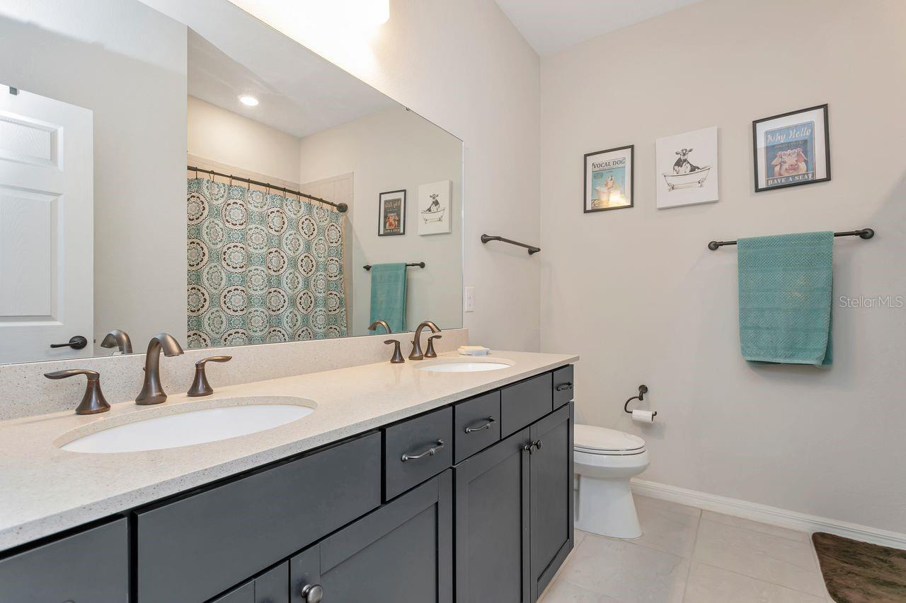 11701 BRIGHTON KNOLL LOOP, RIVERVIEW, FL, 33579