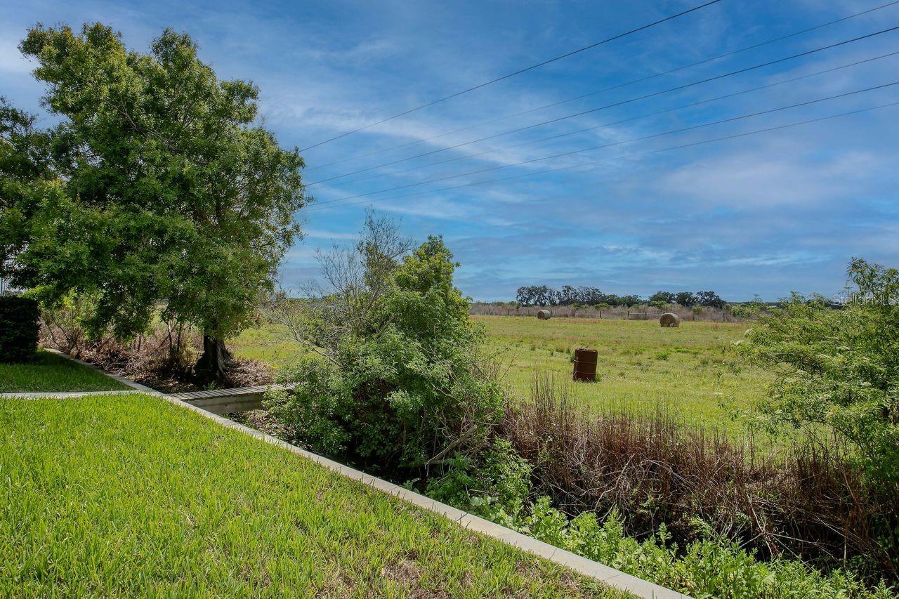 11701 BRIGHTON KNOLL LOOP, RIVERVIEW, FL, 33579
