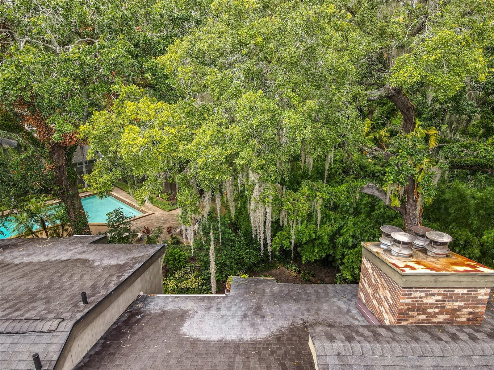 542 S OSCEOLA AVE #34, ORLANDO, FL, 32801