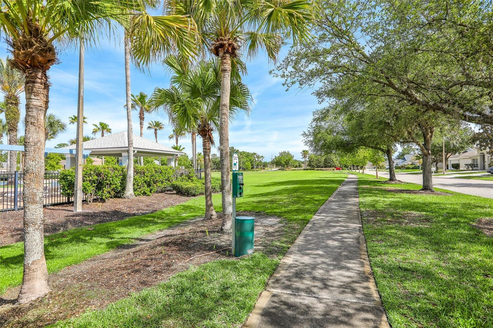 30400 RANDALL MANOR ST, WESLEY CHAPEL, FL, 33545