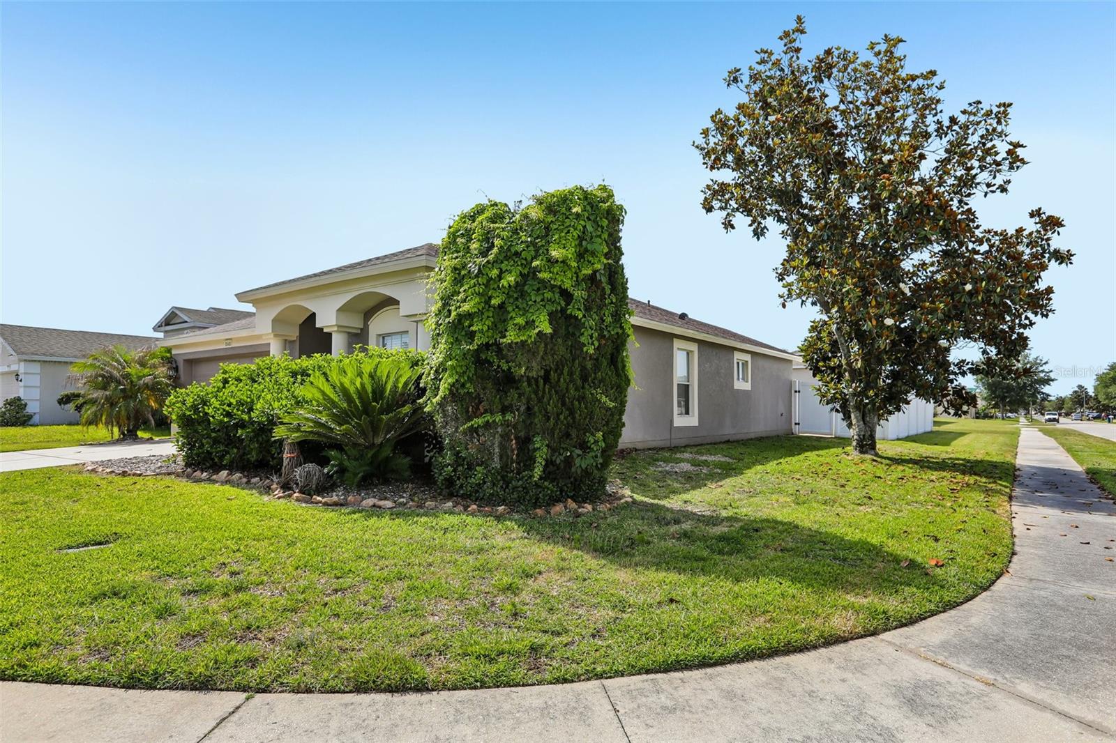 30400 RANDALL MANOR ST, WESLEY CHAPEL, FL, 33545