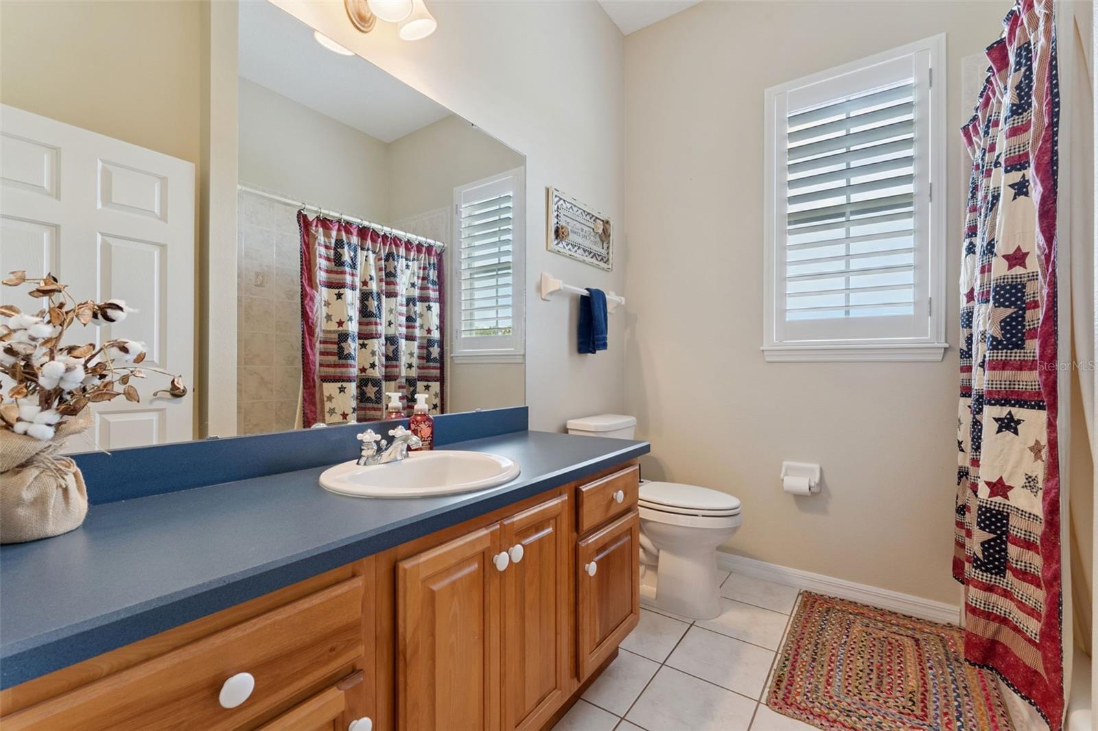 10710 OLD GROVE RD, CLERMONT, FL, 34711
