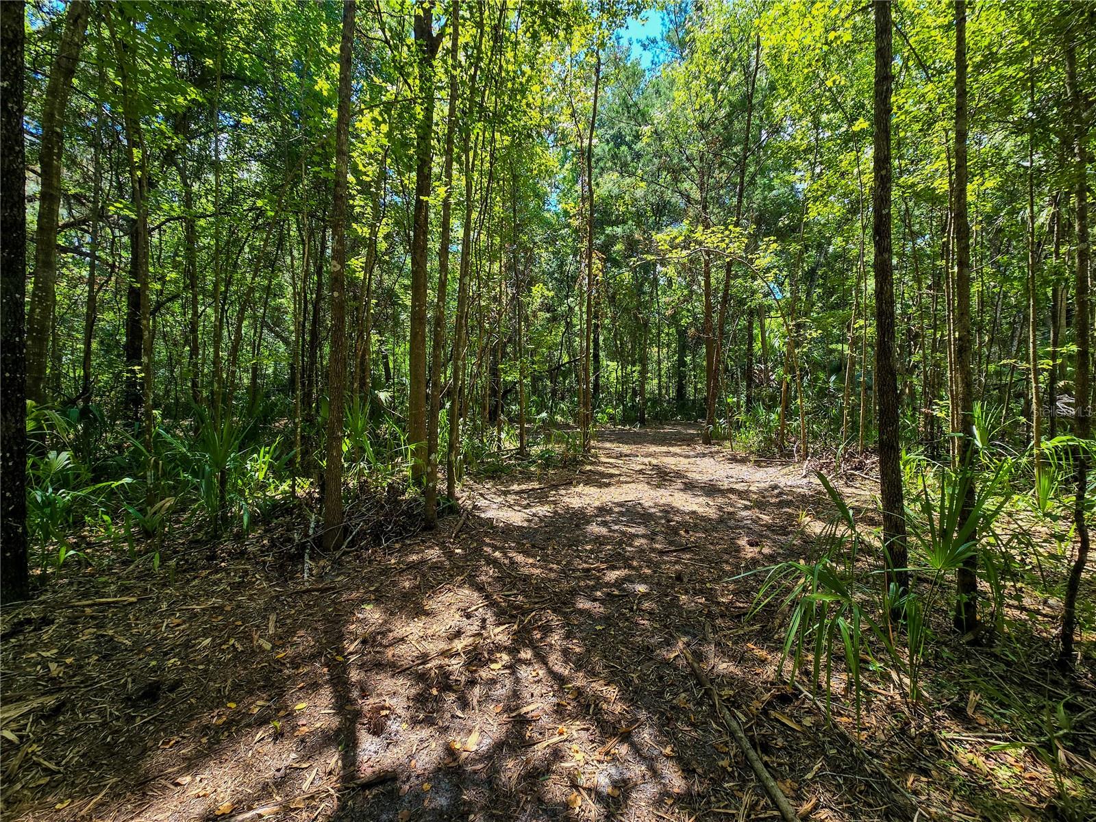 2381 N JENNIFER TER, INVERNESS, FL, 34453