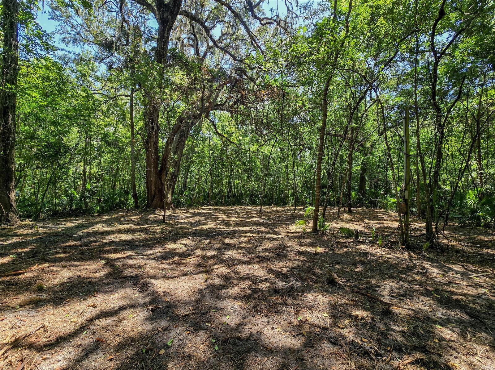 2381 N JENNIFER TER, INVERNESS, FL, 34453