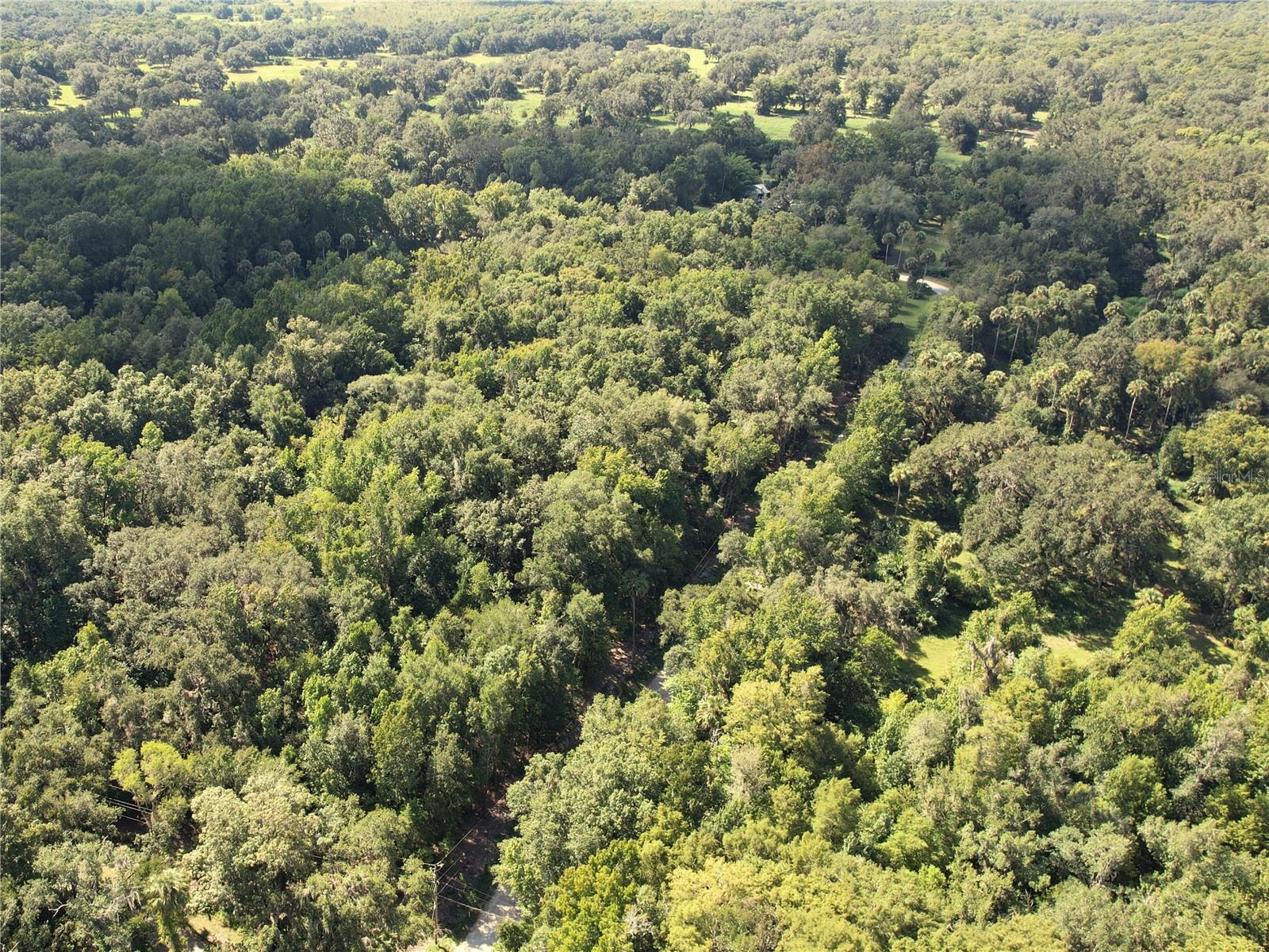 2381 N JENNIFER TER, INVERNESS, FL, 34453
