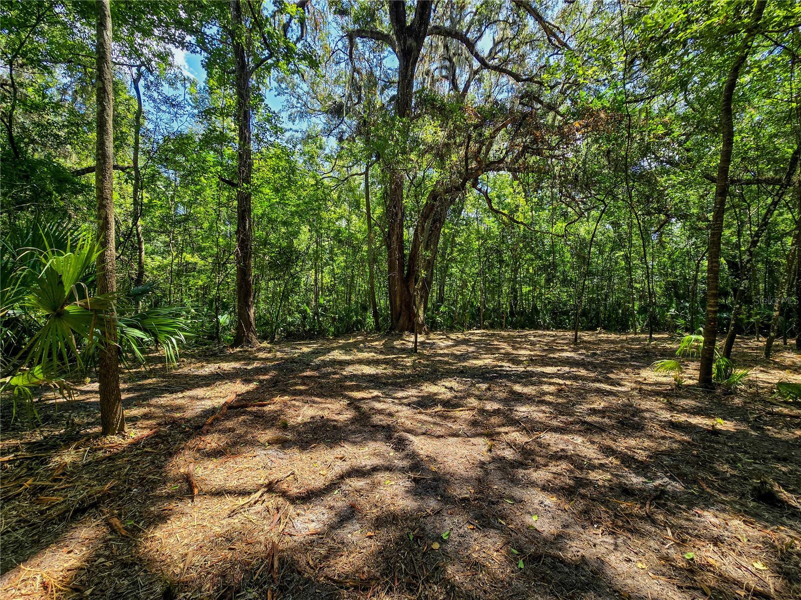 2381 N JENNIFER TER, INVERNESS, FL, 34453