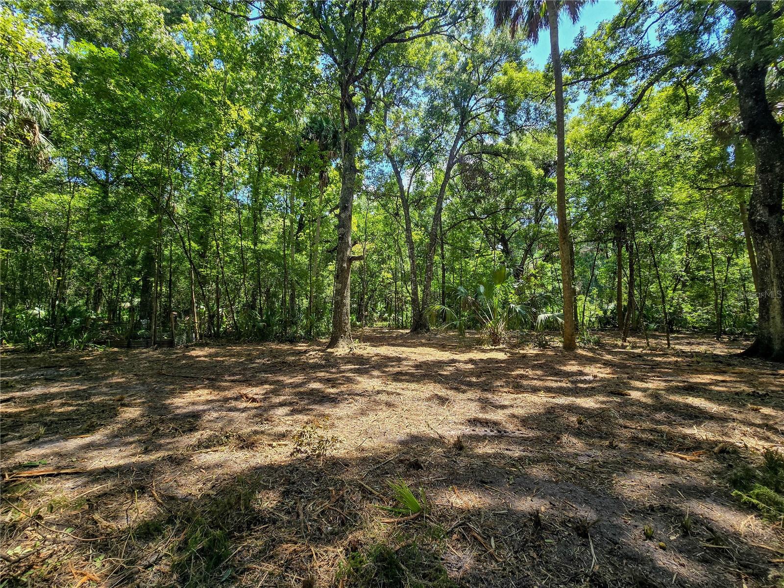 2381 N JENNIFER TER, INVERNESS, FL, 34453