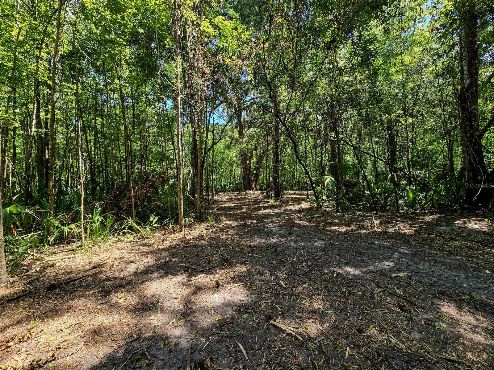 2381 N JENNIFER TER, INVERNESS, FL, 34453