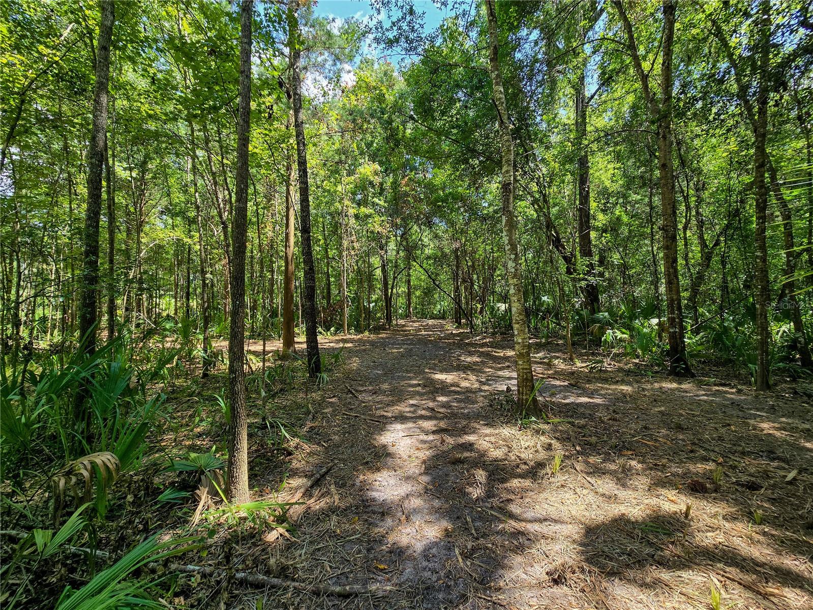 2381 N JENNIFER TER, INVERNESS, FL, 34453